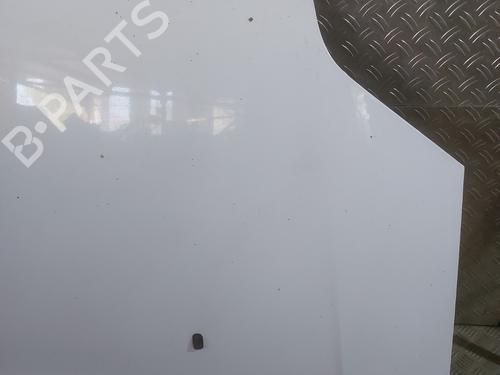 Hood FORD TRANSIT CONNECT (P65_, P70_, P80_) 1.8 Di | BP29039316C1