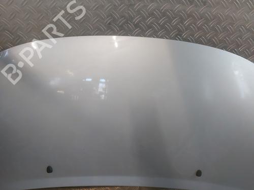 Hood PEUGEOT 207 (WA_, WC_) 1.4 16V | BP29923589C1