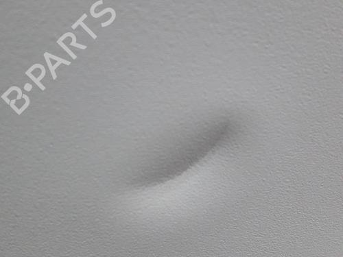 Left sun visor FORD TRANSIT CONNECT (P65_, P70_, P80_) 1.8 TDCi | BP21506874I1 