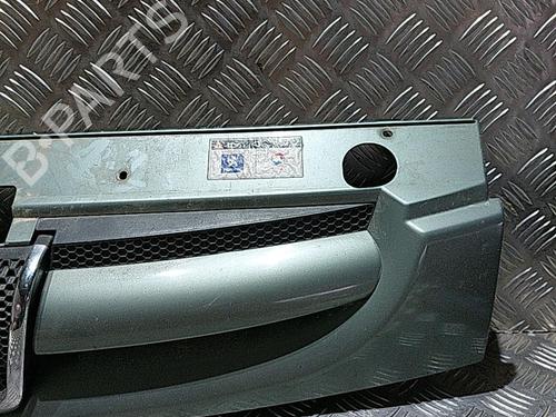Used Grille Grille 21513127 21513127