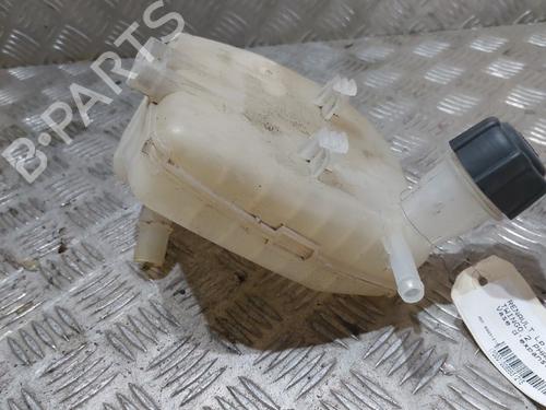 Used Expansion tank RENAULT TWINGO II (CN0_) 1.2 16V (CN04, CN0B) (75 hp) 21510125