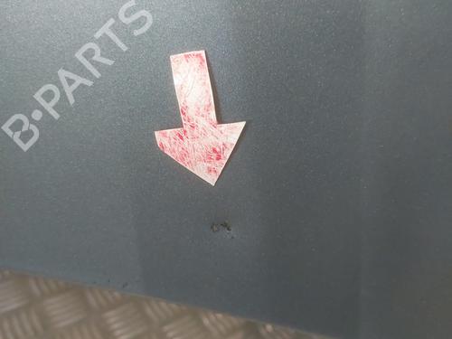 Hood PEUGEOT 406 (8B) 2.0 HDI 110 | BP25487222C1