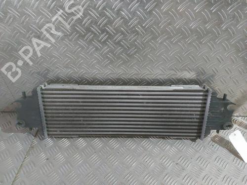 Used Intercooler Intercooler RENAULT TRAFIC II Bus (JL) 1.9 dCI 100 (JL0C, JL0K) (101 hp) 25050517 25050517