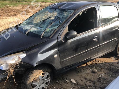 Left rear door PEUGEOT 206+ (2L_, 2M_) 1.4 i (2LKFWA, 2MKFWA) | BP21668513C4