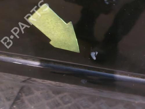 Left front door OPEL MERIVA A MPV (X03) 1.7 CDTI (E75) | BP22238315C2 