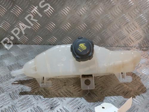 Used Expansion tank RENAULT CLIO III (BR0/1, CR0/1) 1.5 dCi (C/BR0G, C/BR1G) (68 hp) 21513371