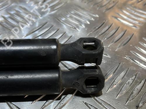 Amortecedor do capot Amortecedor do capot PEUGEOT 106 II (1A_, 1C_) 1.0 i (50 hp) 21507650 21507650