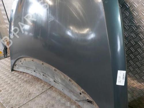 Used Hood SEAT LEON (1P1) 1.9 TDI (105 hp) 21503472
