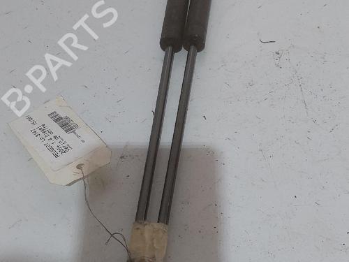 tailgate-lift-support-peugeot-206-2l_-2m_-2009-2010-2011-2012-2013-32212021 main image