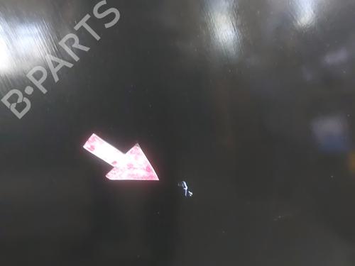 Hood RENAULT SCÉNIC III (JZ0/1_) 1.9 dCi (JZ0J, JZ1J, JZ1K, JZ1S) | BP26461840C1 