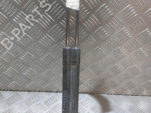 tailgate-lift-support-dacia-duster-hs_-2010-2011-2012-2013-2014-2015-2016-2017-2018-27662981 main image