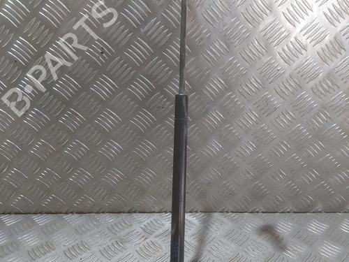 Used Tailgate lift support CITROËN C1 (PM_, PN_) 1.0 (68 hp) 27568535