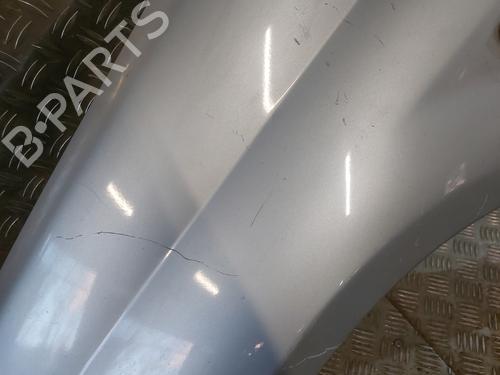 Left front fenders FIAT GRANDE PUNTO (199_) 1.3 D Multijet | BP21669817C41 