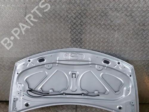 Hood RENAULT CLIO III (BR0/1, CR0/1) 1.2 16V (BR0R, BR1D, BR1L, CR0R) | BP21503577C1 