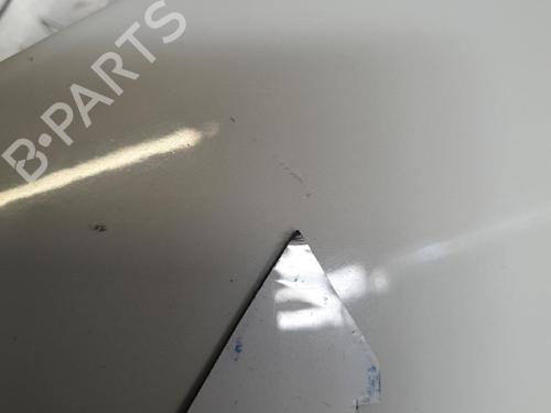 Used Hood RENAULT CLIO III (BR0/1, CR0/1) 1.5 dCi (BR17, CR17) (86 hp) 21506966