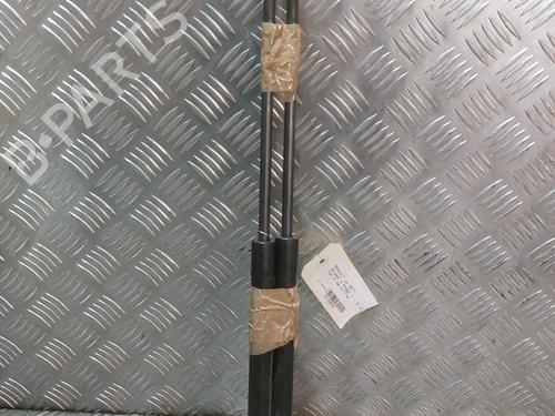 Used Tailgate lift support RENAULT MEGANE IV Hatchback (B9A/M/N_) 1.5 dCi 110 (B9A3) (110 hp) 22397960