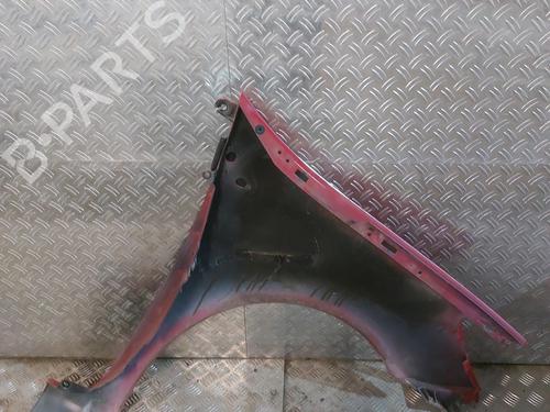 Left front fenders RENAULT CLIO III (BR0/1, CR0/1) 1.5 dCi | BP22966410C41