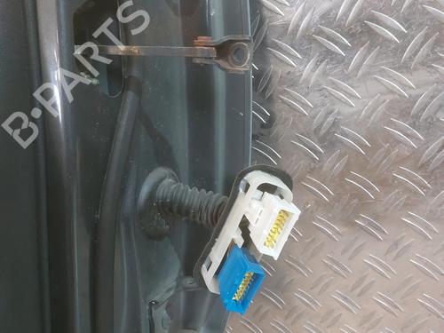 Left front door CITROËN C4 II (NC_) 1.6 HDi 115 | BP29585001C2 