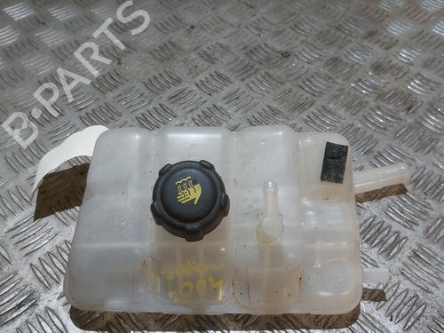 Expansion tank RENAULT MEGANE IV Hatchback (B9A/M/N_) 1.6 dCi 165 217102781R