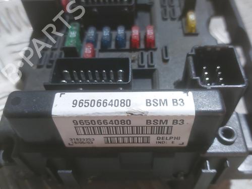 Used Electronic module Electronic module PEUGEOT 206 Hatchback (2A/C) 2.0 HDI 90 (90 hp) 30317398 30317398