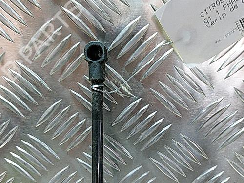 Tailgate lift support CITROËN C1 (PM_, PN_) 1.4 HDi | BP21504281C138 