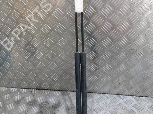 Tailgate lift support NISSAN MICRA III (K12) 1.5 dCi | BP21514169C138