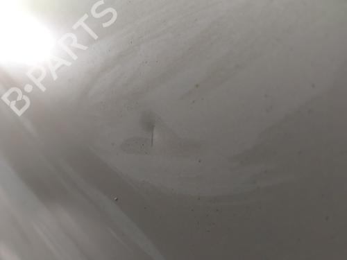 Right front door CITROËN C3 II (SC_) 1.6 HDi 90 | BP25221011C3
