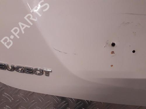 Used Tailgate Tailgate PEUGEOT 207 CC (WD_) 1.6 16V (120 hp) 21511213 21511213