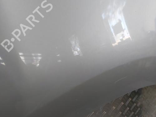 Left front fenders CITROËN C4 Picasso I MPV (UD_) 1.6 HDi 110 | BP24131969C41 