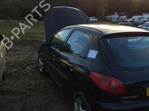 Right front door PEUGEOT 206 Hatchback (2A/C) 2.0 HDI 90 | BP21512568C3 