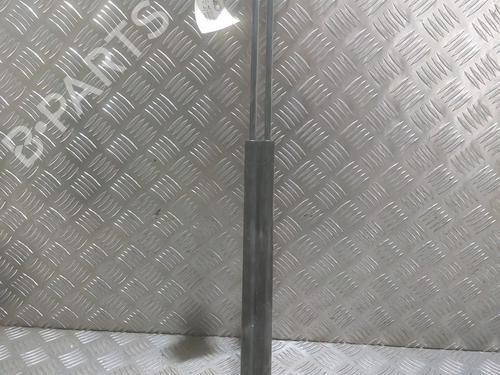 Used Tailgate lift support FORD TRANSIT CONNECT (P65_, P70_, P80_) 1.8 Di (75 hp) 29756125