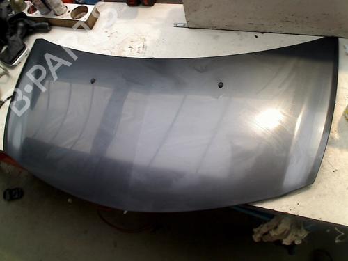 Used Hood RENAULT CLIO III (BR0/1, CR0/1) 1.5 dCi (BR17, CR17) (86 hp) 21928415