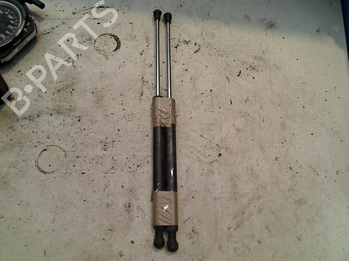 Used Tailgate lift support RENAULT CLIO III (BR0/1, CR0/1) 1.5 dCi (BR17, CR17) (86 hp) 21917820