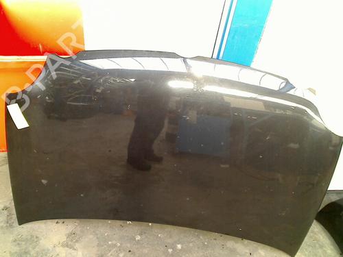 Used Hood VW POLO IV (9N_, 9A_) 1.9 SDI (64 hp) 21912471