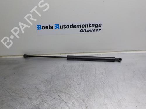 Used Tailgate lift support CITROËN C3 II (SC_) 1.4 (73 hp) 23010100
