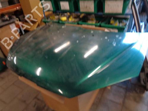 Used Hood PEUGEOT 206 Hatchback (2A/C) 1.1 i (60 hp) 21906923