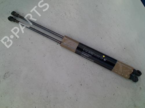 Gassdemper Bakluke FIAT GRANDE PUNTO (199_) 1.2 (65 hp) 21914853