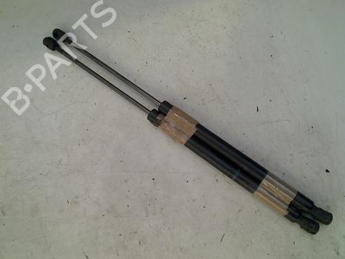 Used Tailgate lift support RENAULT MEGANE II Estate (KM0/1_) 1.6 (113 hp) 21914884