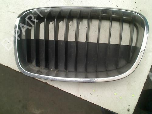 Used Grille BMW 1 (F20) 116 d (116 hp) 21925321