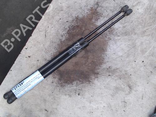 Used Tailgate lift support RENAULT GRAND SCÉNIC II (JM0/1_) 2.0 (135 hp) 21938104