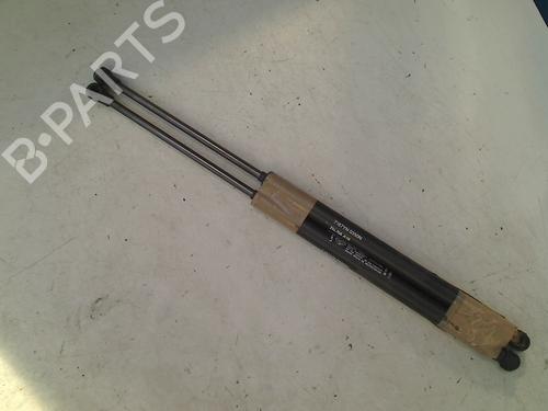 Gassdemper Bakluke FIAT 500 (312_) 1.2 (312AXA1A) (69 hp) 21914846