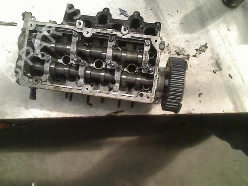 Used Cylinder head VW POLO V (6R1, 6C1) 1.2 TDI (75 hp) 21925441