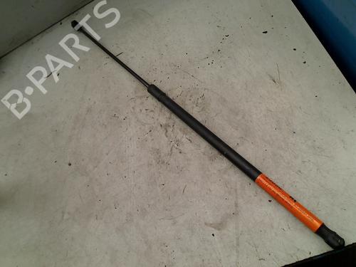 Used Hood lift support VW PASSAT B6 (3C2) 1.9 TDI (105 hp) 21914634