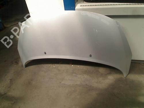 Used Hood PEUGEOT 207 SW (WK_) 1.6 16V (120 hp) 21924119