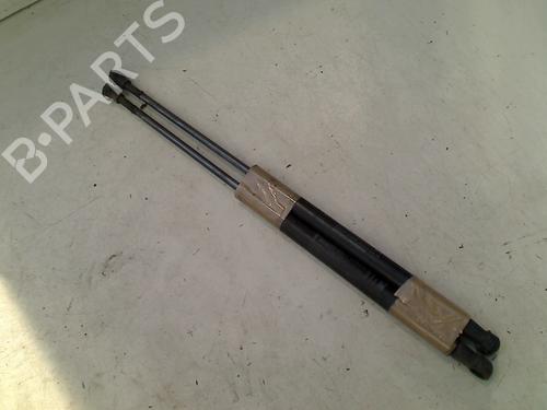 Used Tailgate lift support FIAT PUNTO EVO (199_) 1.3 D Multijet (84 hp) 21914843