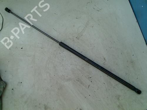 Used Hood lift support AUDI A4 B8 (8K2) 1.8 TFSI (160 hp) 21921171