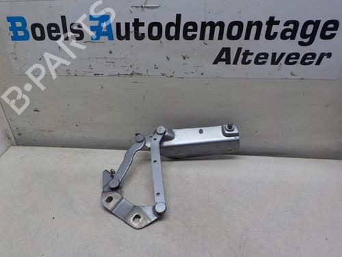 Used Hinge/Door check strap LAND ROVER RANGE ROVER EVOQUE (L538) 2.2 D 4x4 (190 hp) 22175076