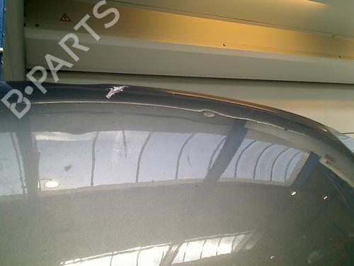 Hood VW GOLF V (1K1) 1.4 16V | BP21916825C1 