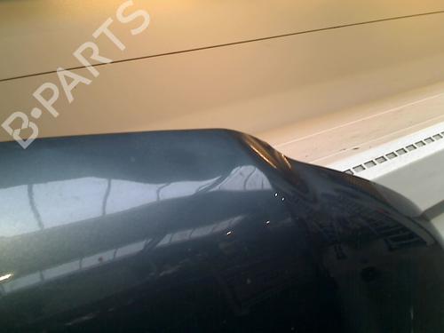 Hood VW TRANSPORTER T5 Van (7HA, 7HH, 7EA, 7EH) 1.9 TDI | BP21912680C1 