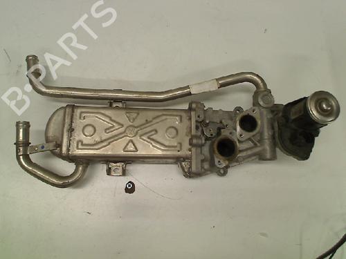 Used Egr VW POLO V (6R1, 6C1) 1.6 TDI (75 hp) 21917256